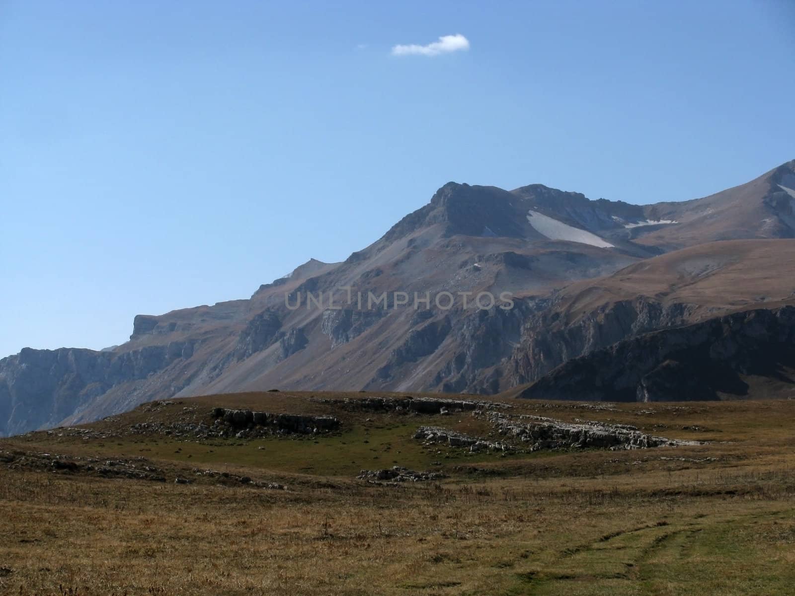 Europe; Russia; a file; flora; the Alpine meadows; a grass
