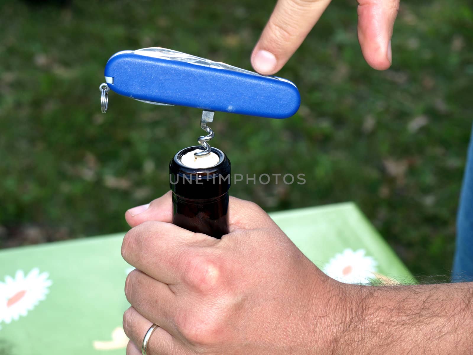 Wine bottle opening