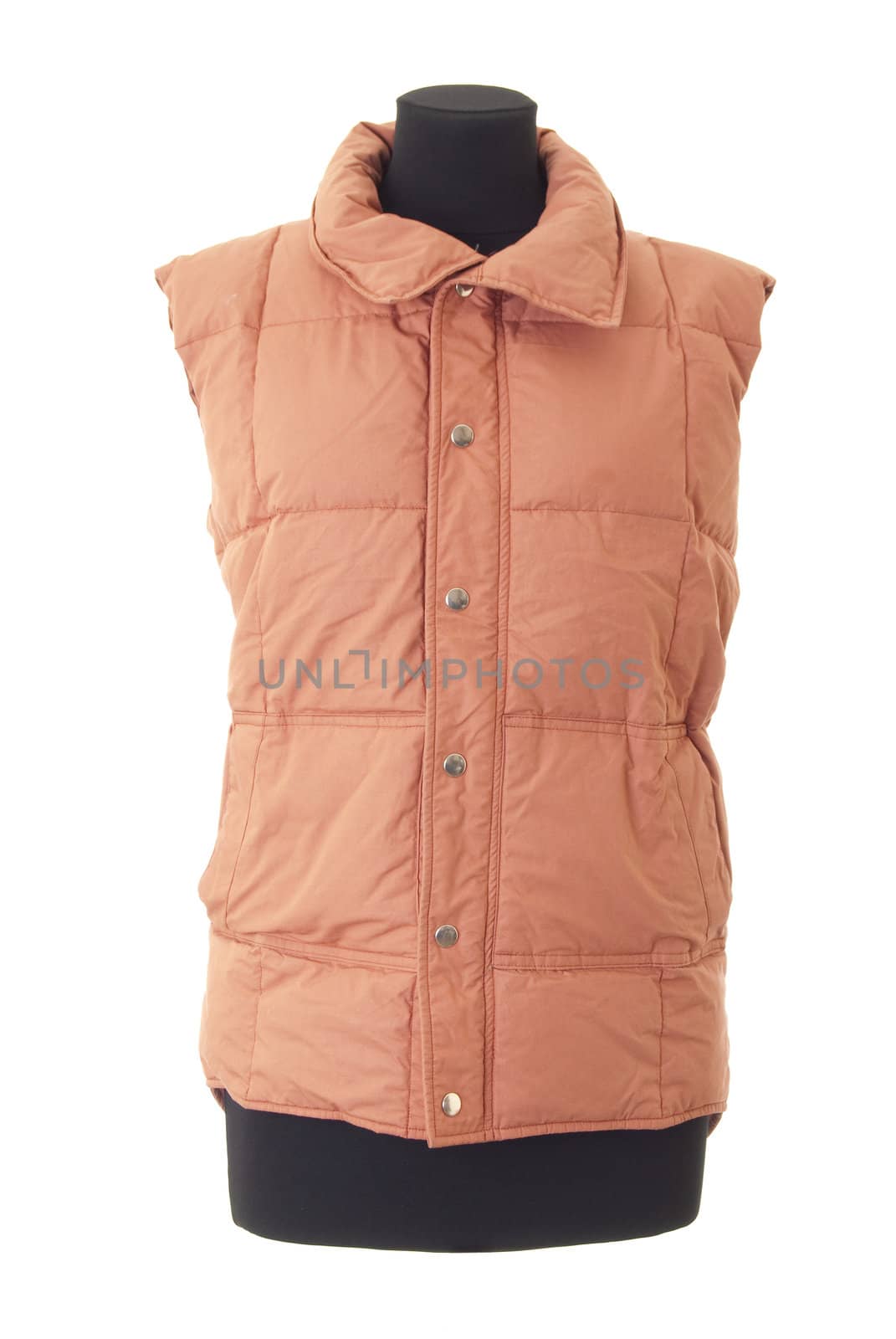 Mannequin torso with female winter jacket. Isolated on white background