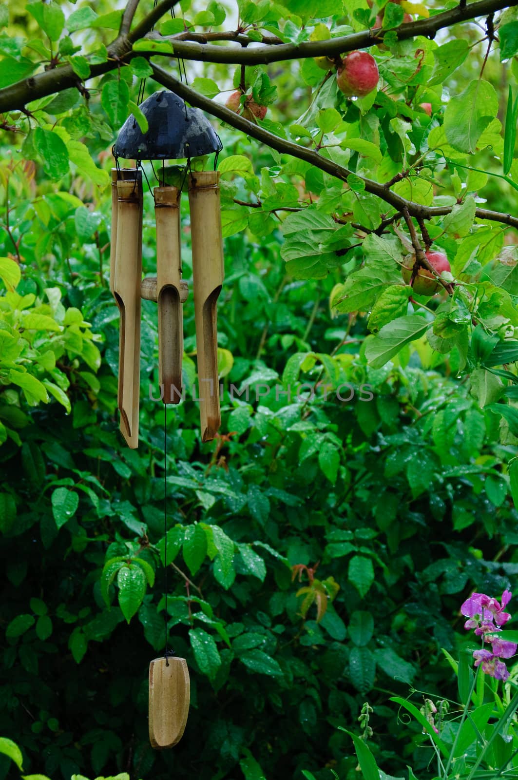 A bamboo wind chimes hanging in an apple tree in a garden.
