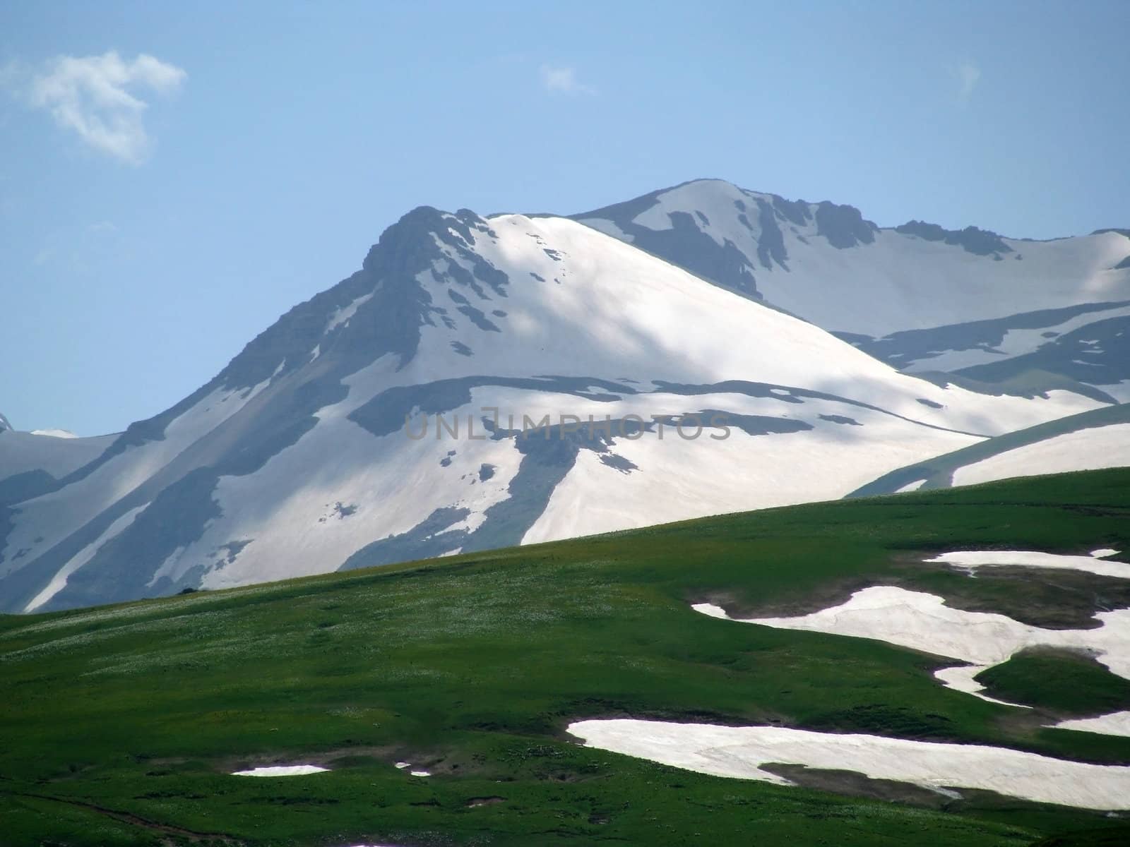 Europe; Russia; flora; the Alpine meadows, vegetation, a distance, summer, greens, flowering, plants, flowers