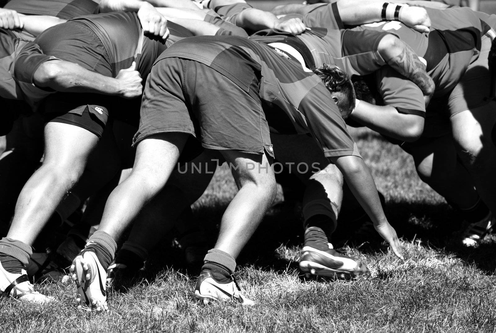 Men playing rugby union sport. New Zealand club Rugby