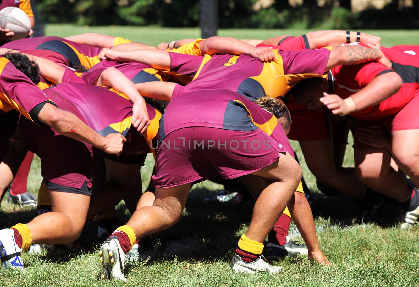 Men playing rugby union sport. New Zealand club Rugby
