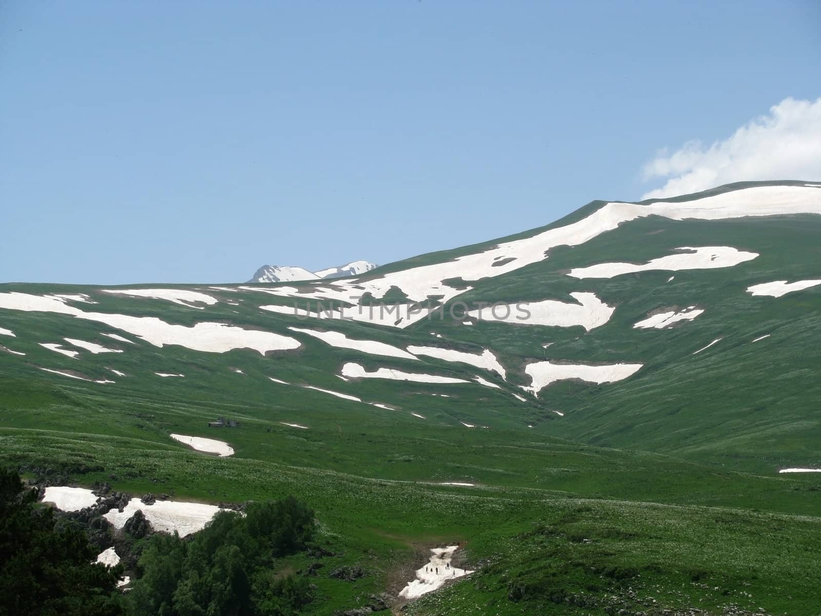 a route; the Europe; Russia; flora; the Alpine meadows; vegetation; a distance; summer; greens; flowering; plants; flowers