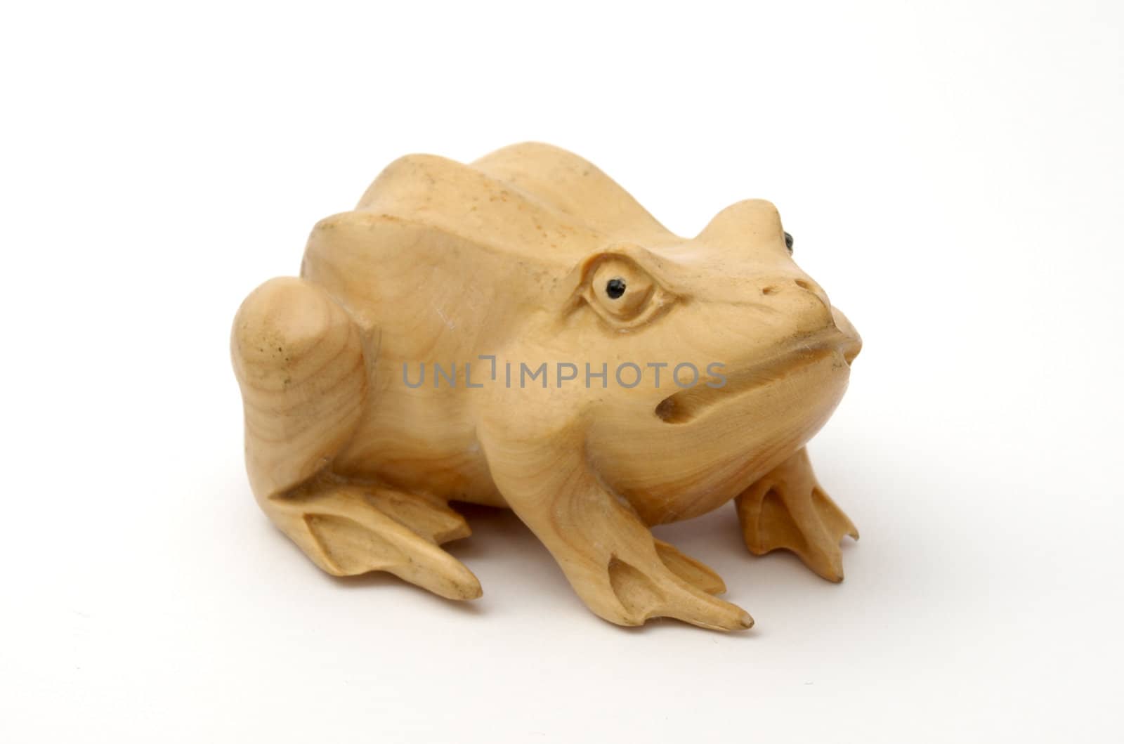 wood frog by Bedolaga