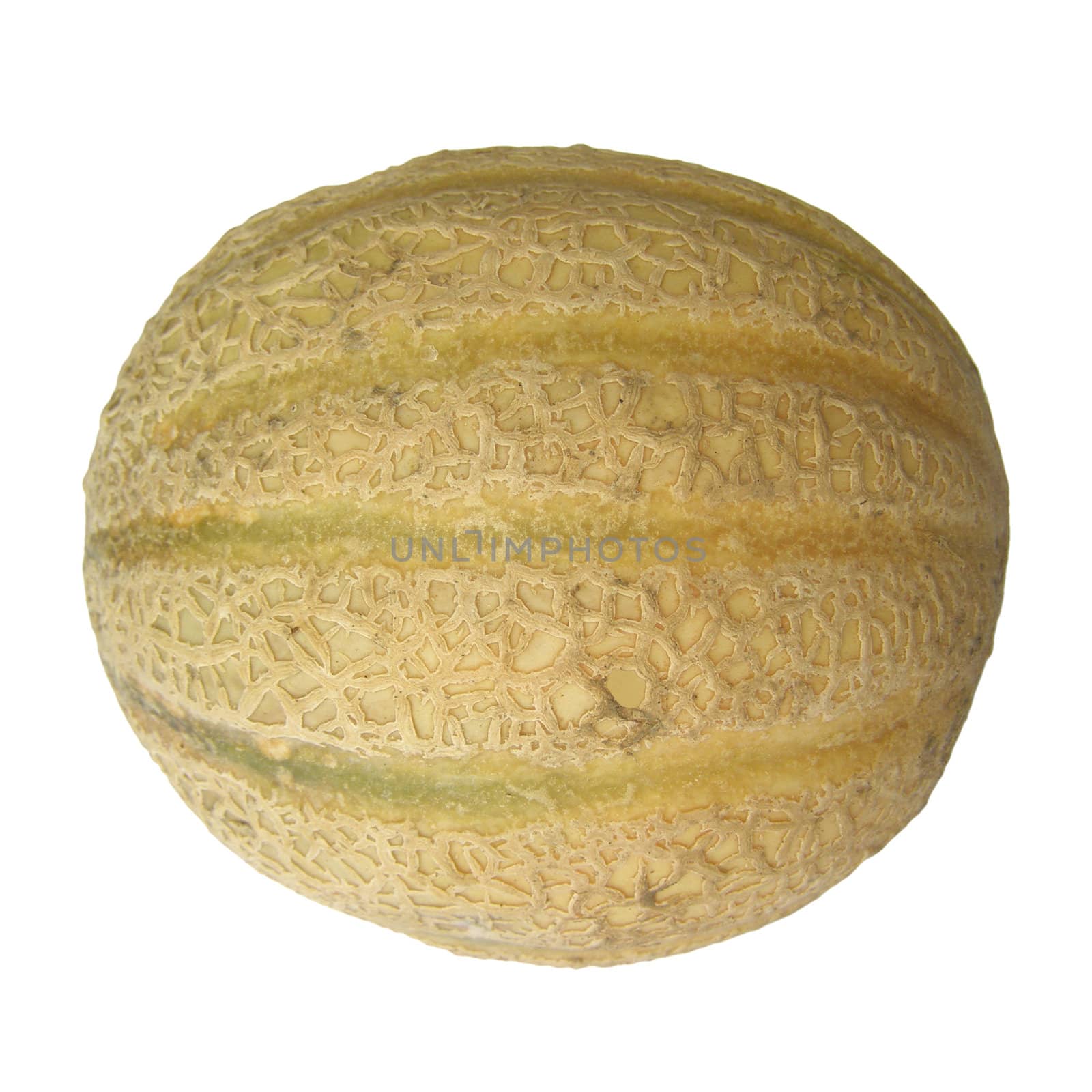 Melon fruit