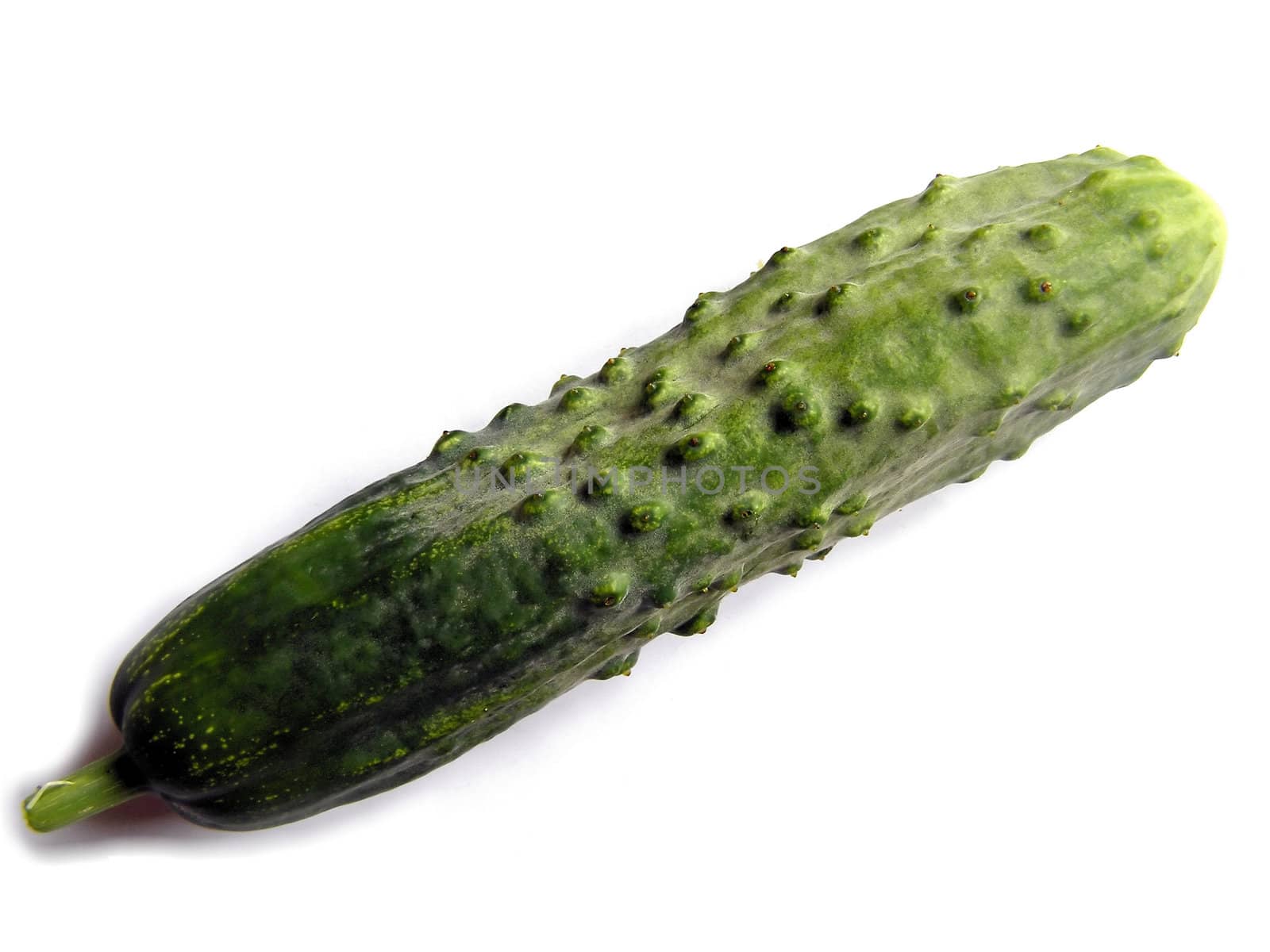 English cucumber vegetable