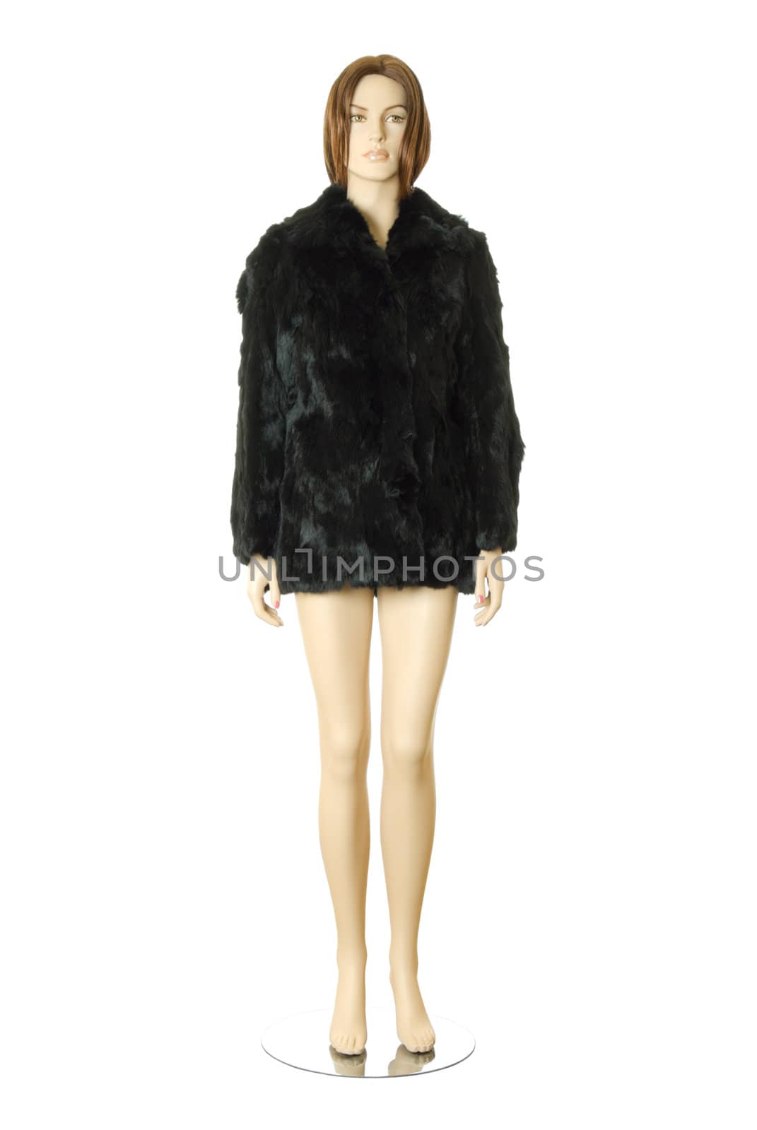 Female mannequin in short black fur coat. Isolated on white background