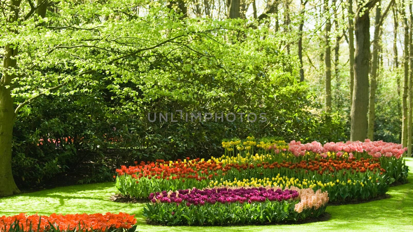 Green trees and colorful flowers in spring