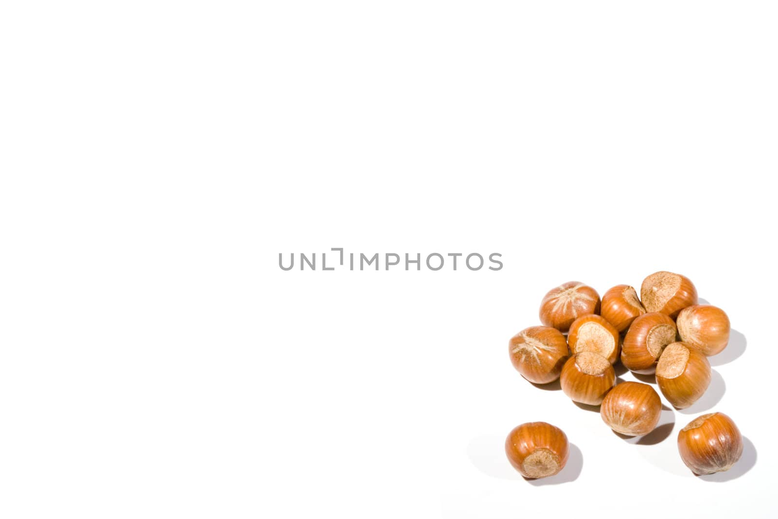 high key closeup of a small collection of hazelnuts on a white background