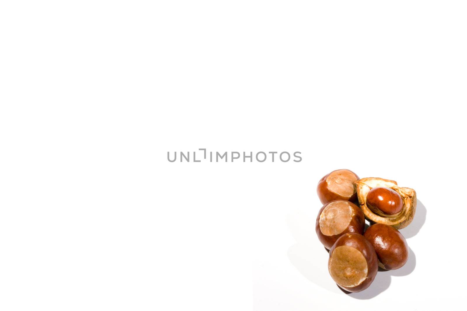 high key image of a small collection of horse chestnuts on a white background