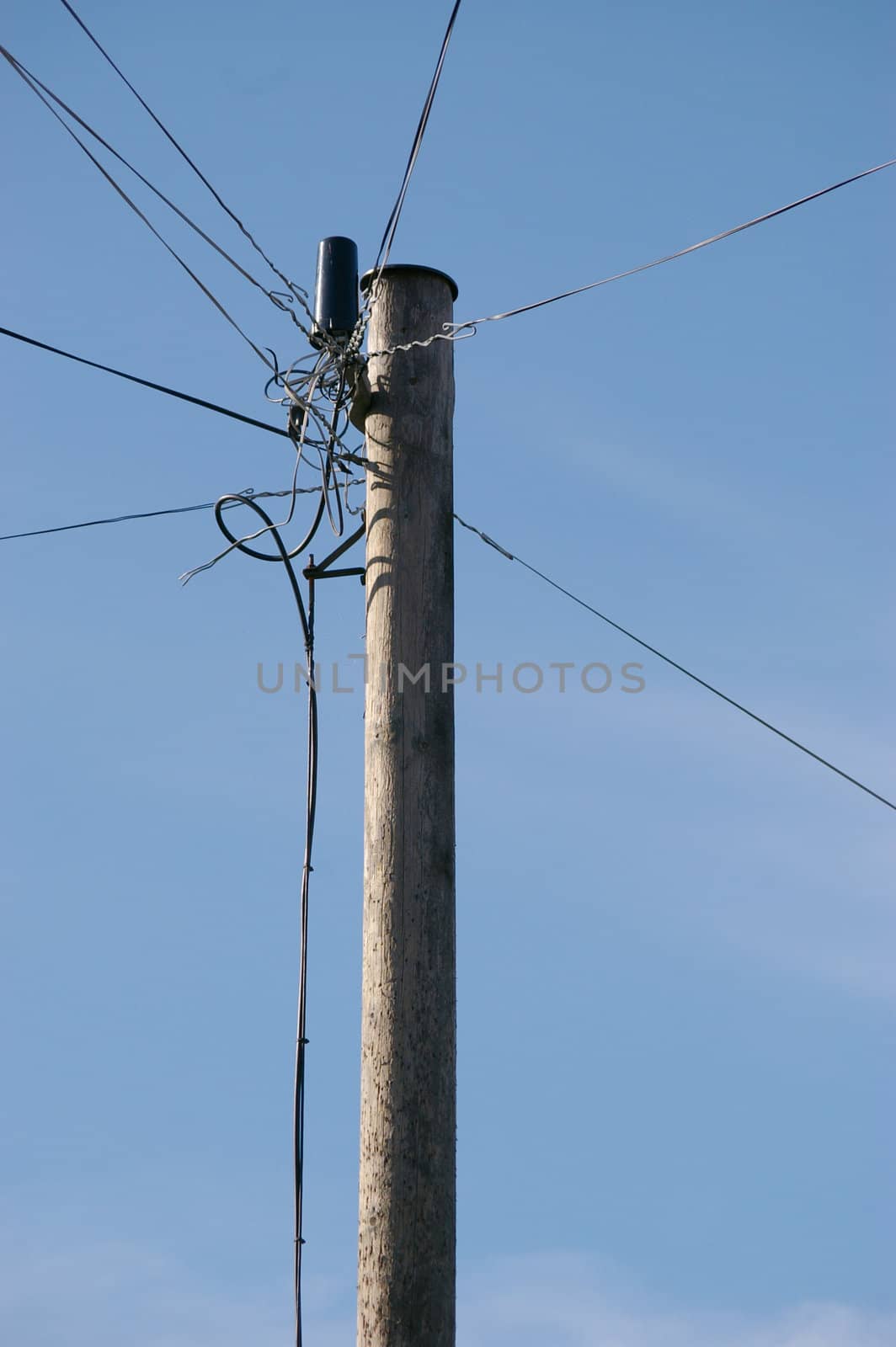 Phone Pole by peterboxy