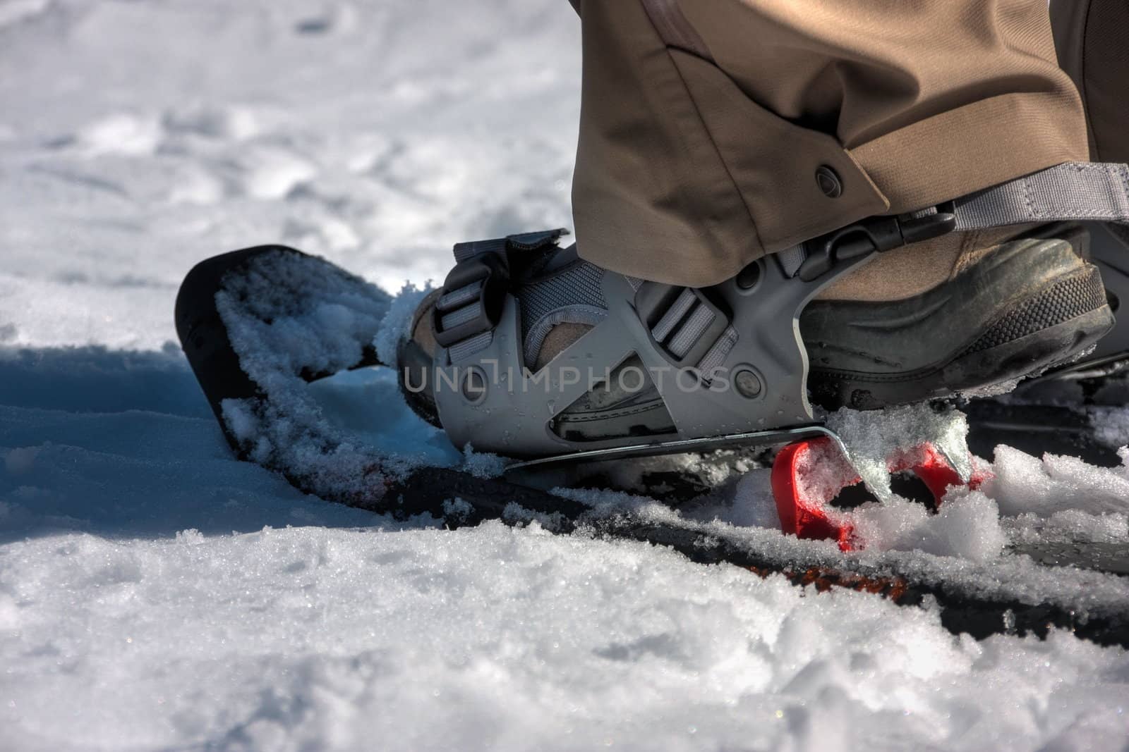 snow shoes by orobikfilm