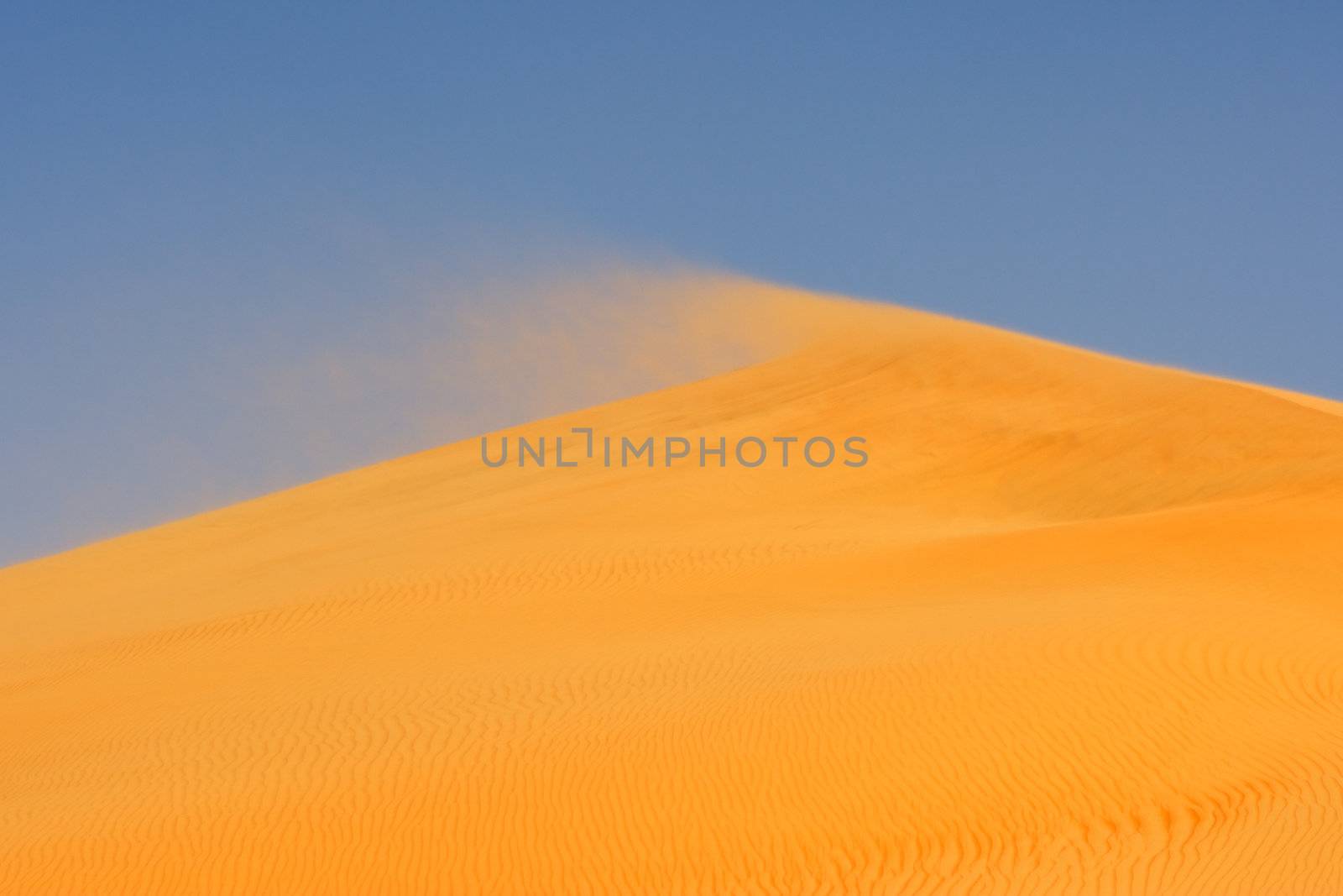 Wind blowing on the crest of a dune in the Rub al Khali or Empty Quarter. Straddling Oman, Saudi Arabia, the UAE and Yemen, this is the largest sand desert in the world.