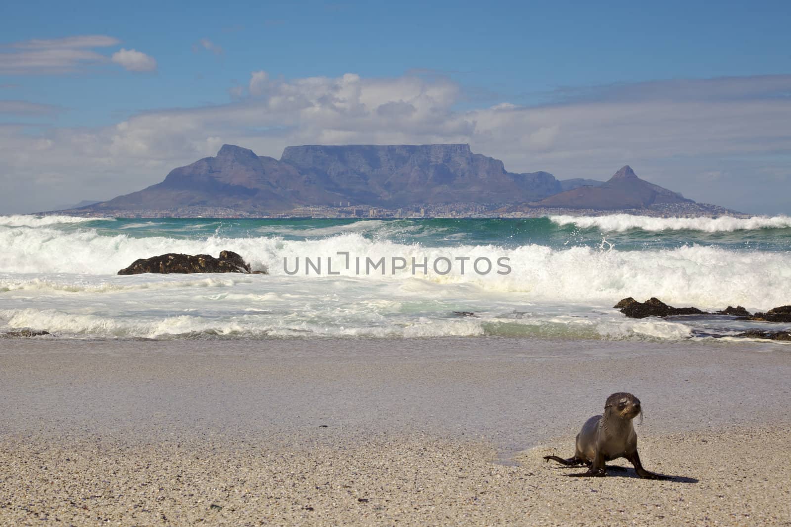 Table Mountain by zambezi