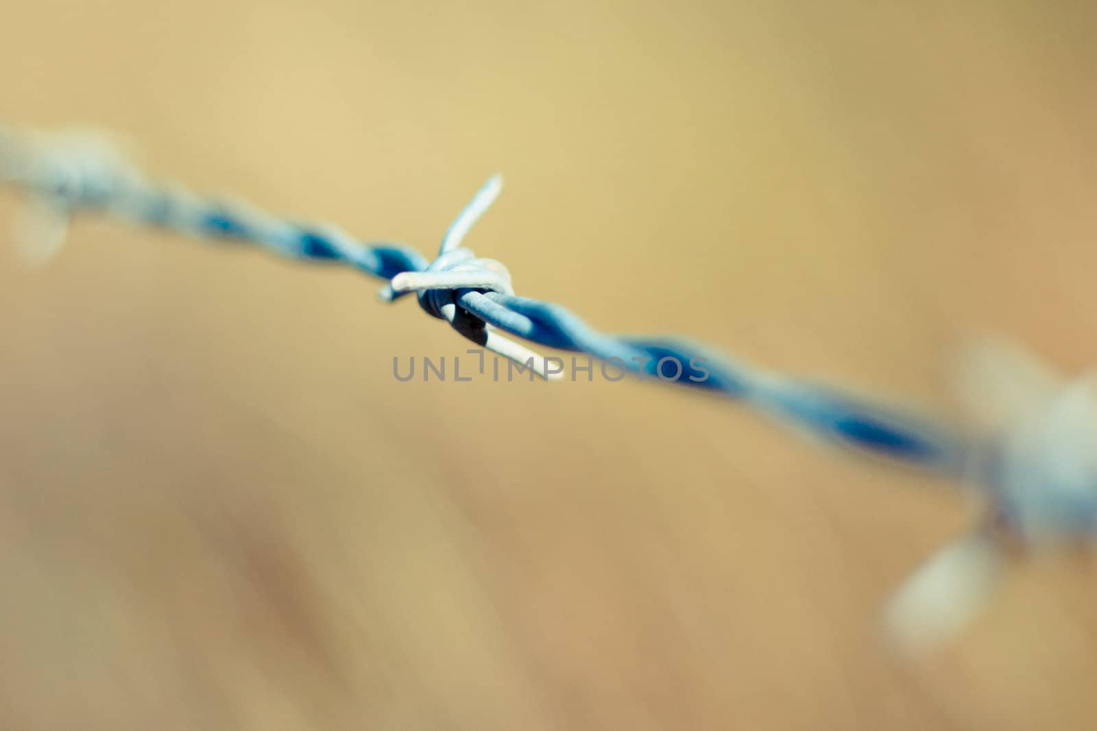 single thorn on a blur field