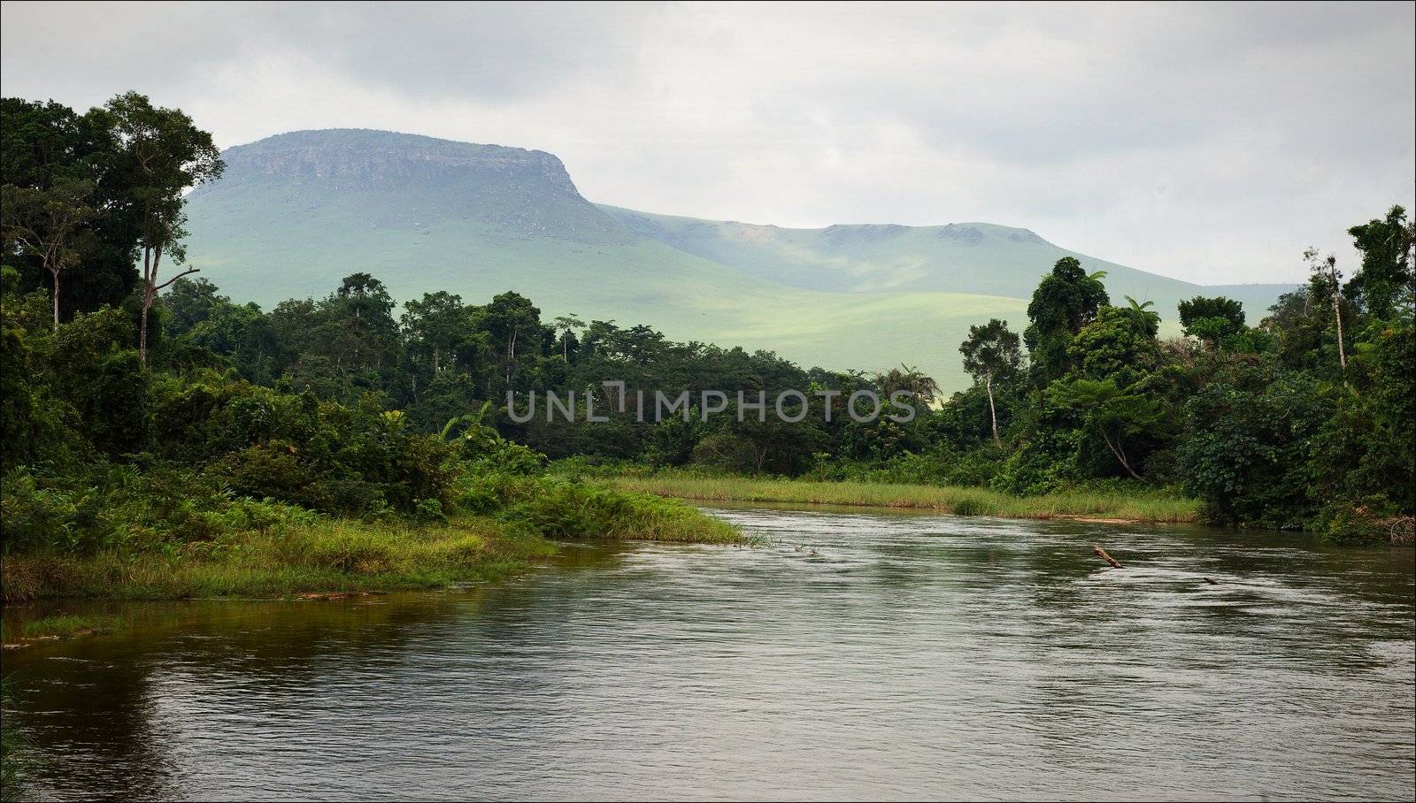 Small river in jungle. Under the cloudy sky through hills and mountains the small river proceeds on jungle.