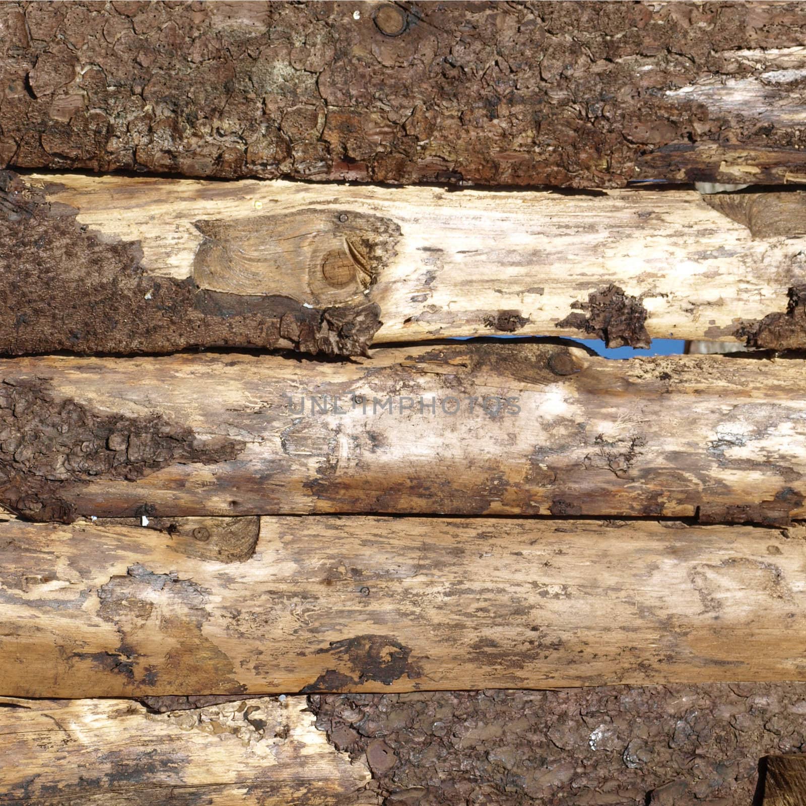 Old wood logs or plank board background