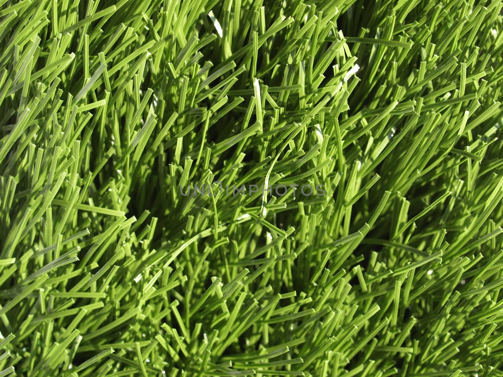 Detail of green grass artificial lawn meadow, useful as a background