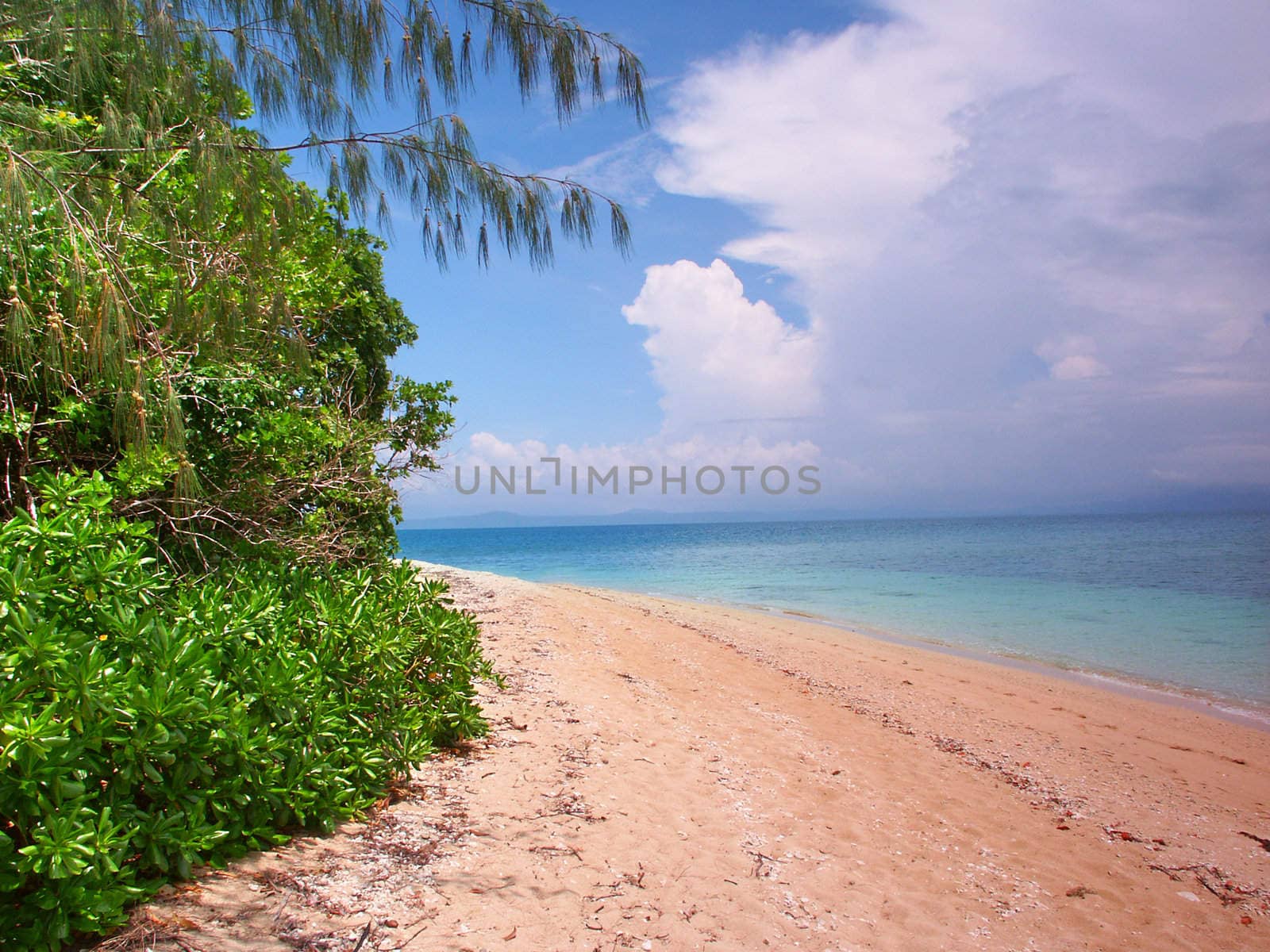 Tropical beach on the Low Isles in beautiful Queensland, Australia.