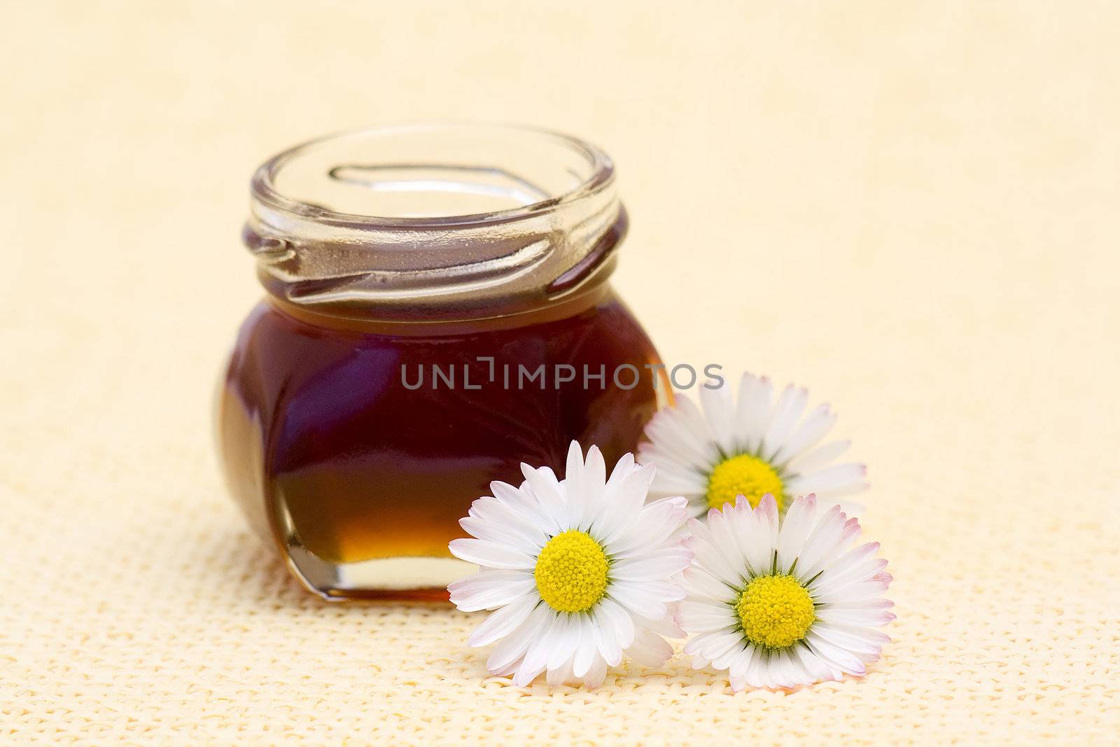 honey and daisies