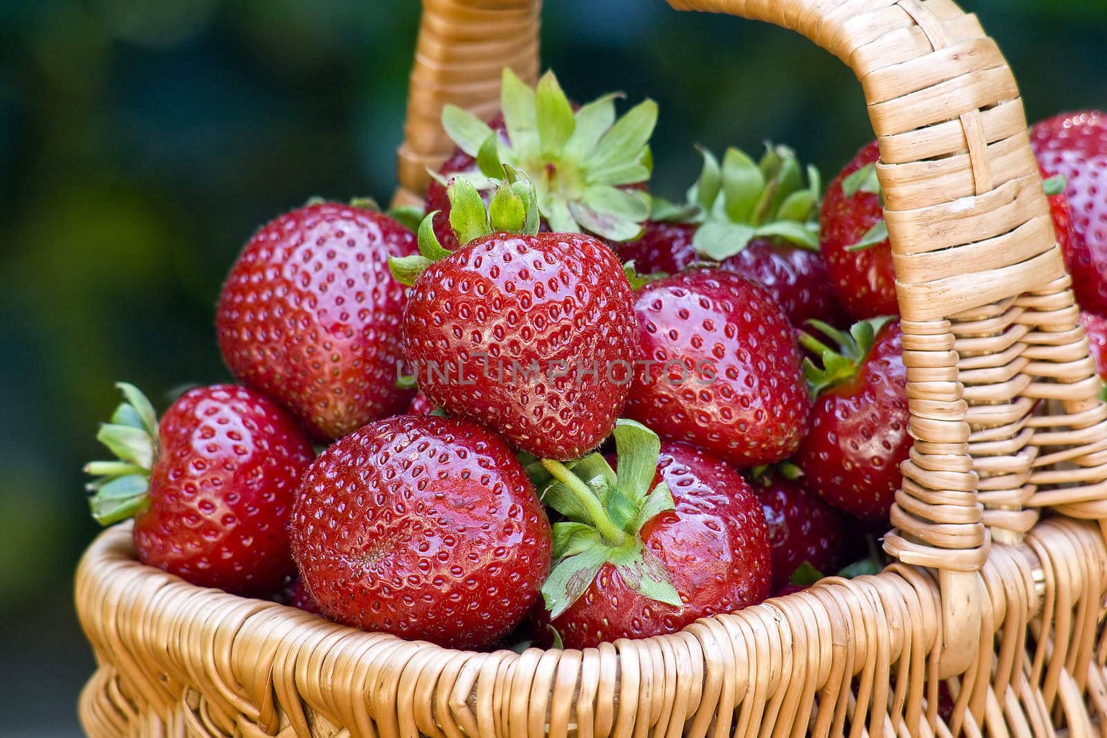 basket full of strawberries by miradrozdowski