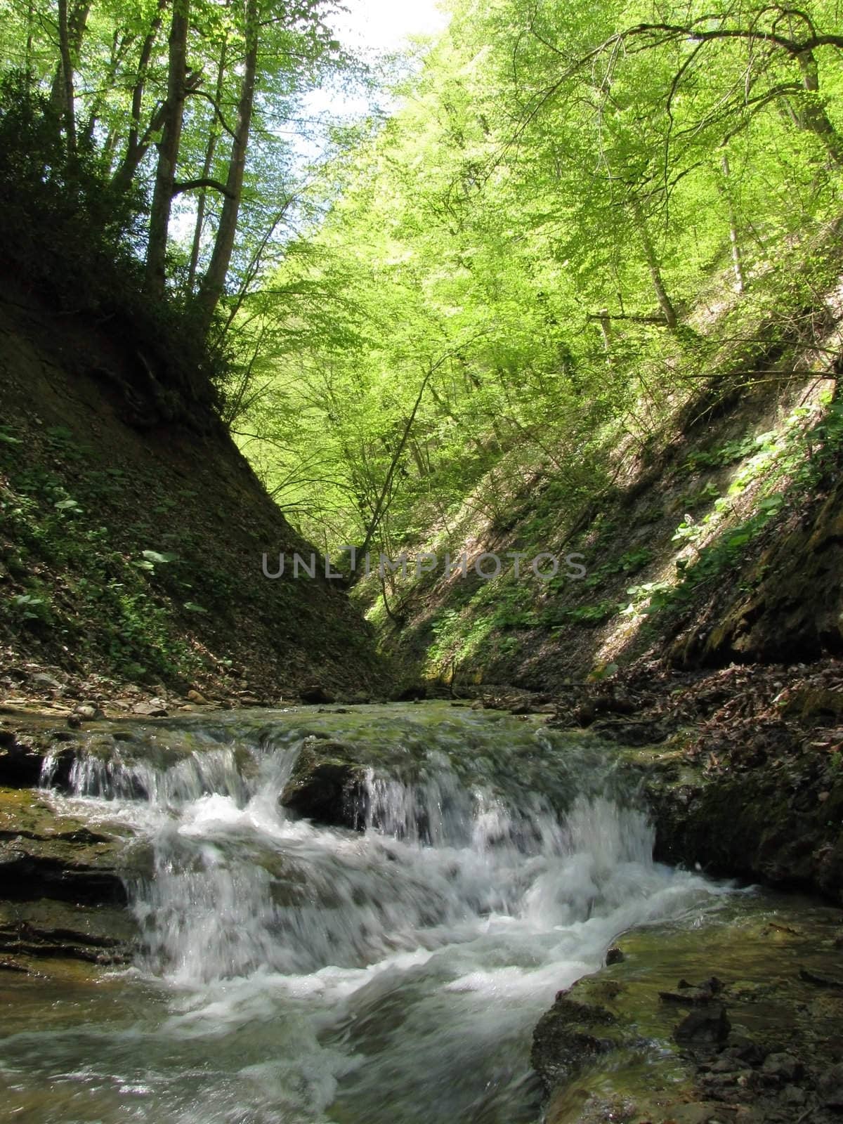 Falls; the river; a stream; water; a moisture; beauty; Caucasus; Russia; the Europe