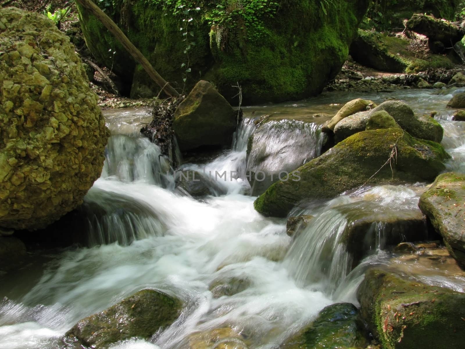 Falls; the river; a stream; water; a moisture; beauty; Caucasus; Russia; the Europe