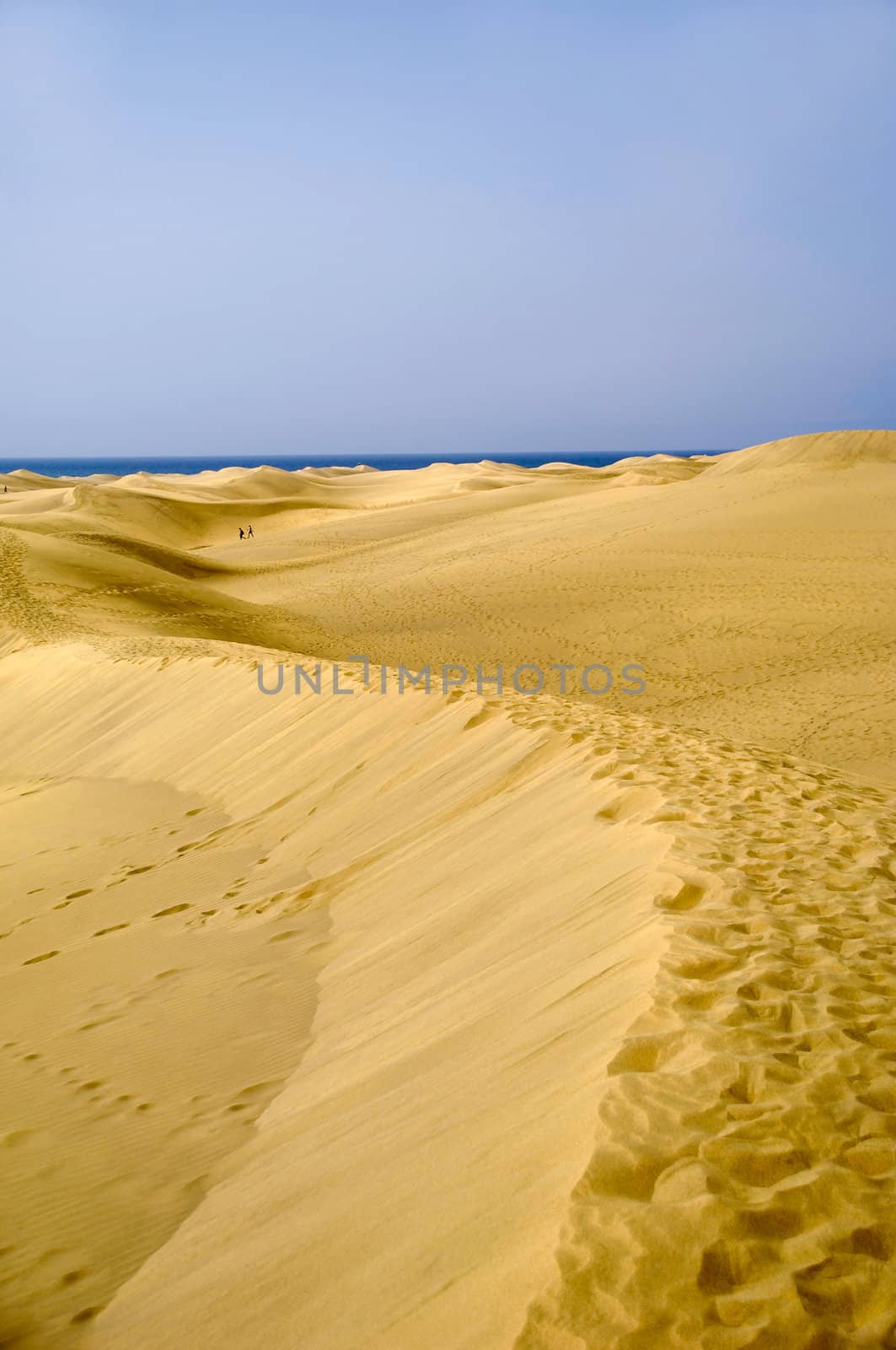 Sand dunes by cfoto