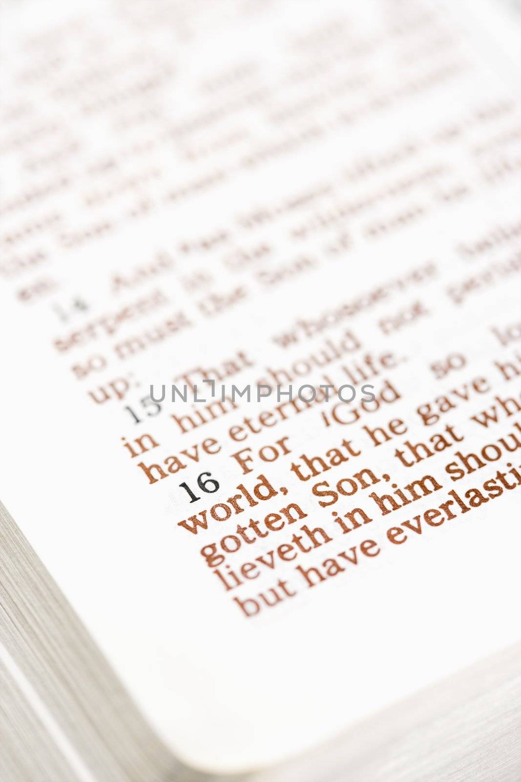 Selective focus of verses in open Holy Bible.