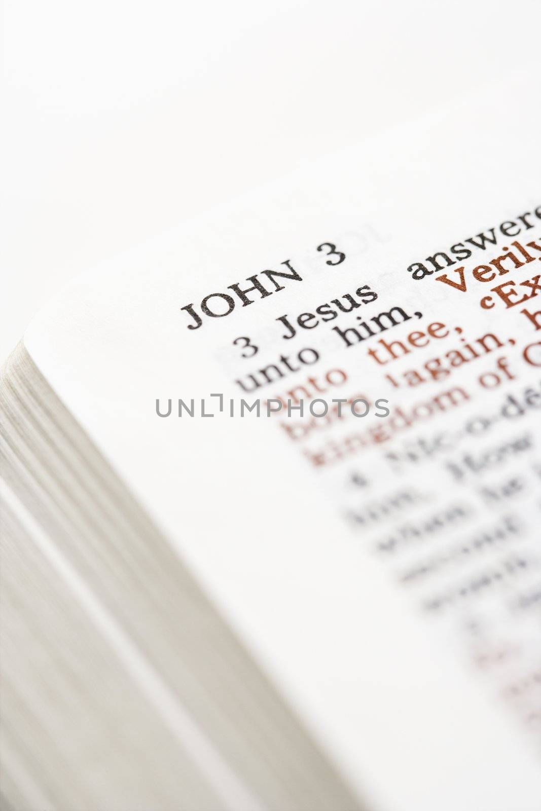 Selective focus of John 3 verses in open Holy Bible.