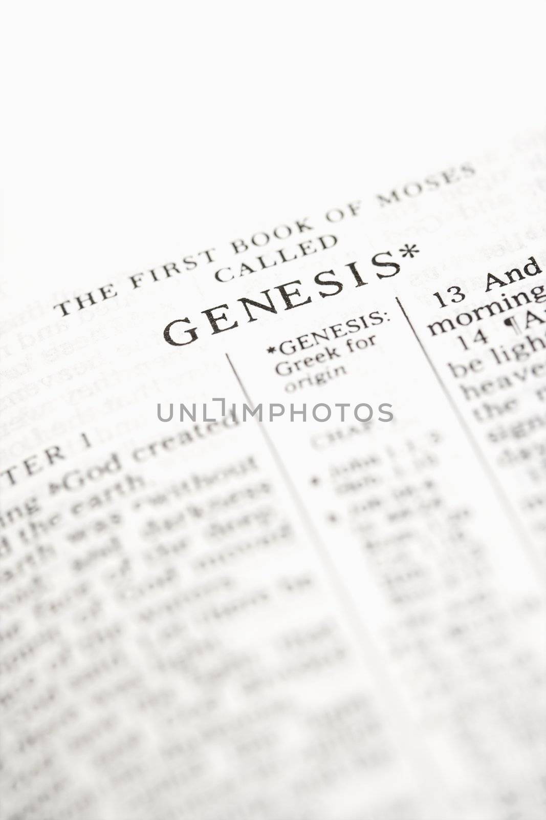 Selective focus of Genesis verses in open Holy Bible.