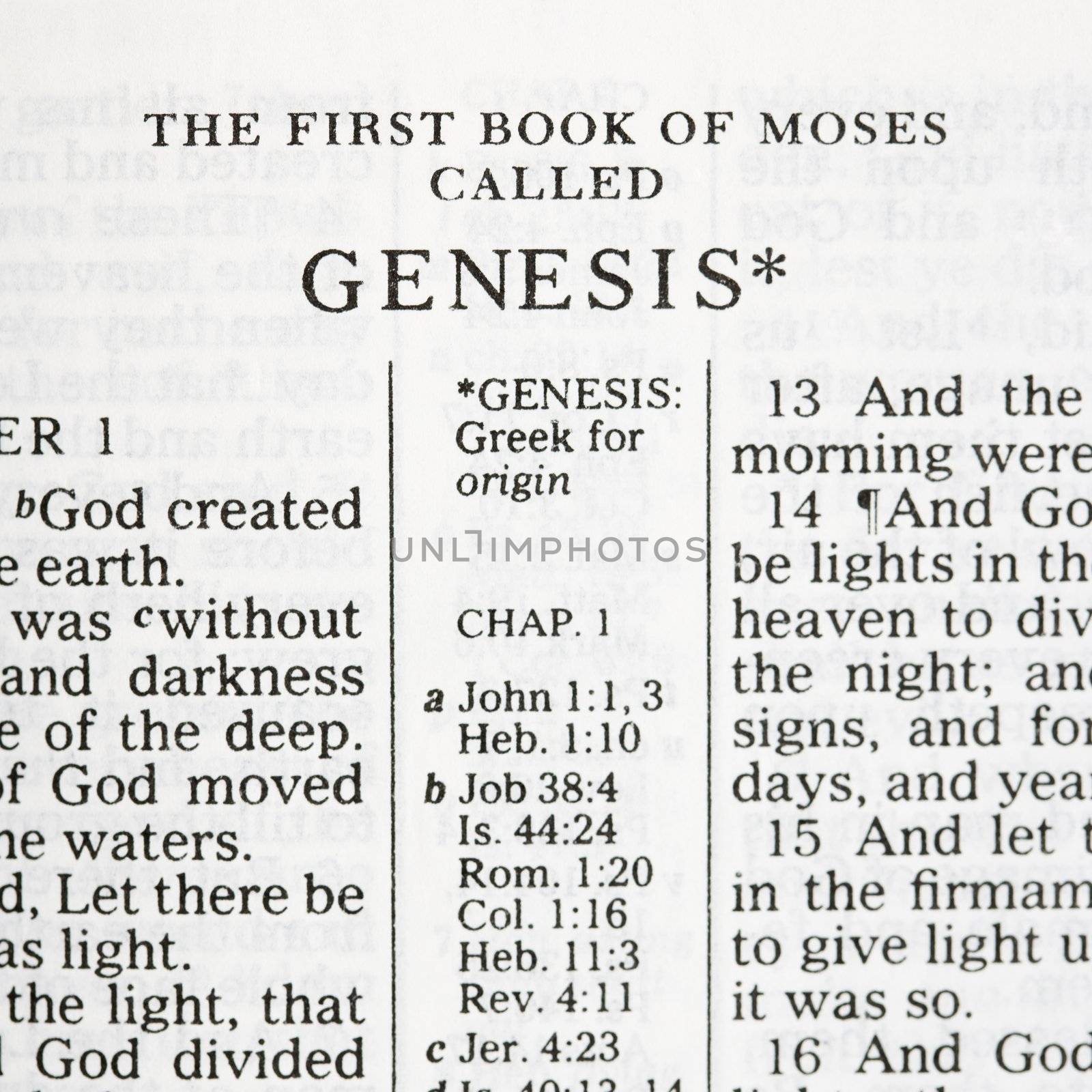 Close up of verses of Genesis in Holy Bible.