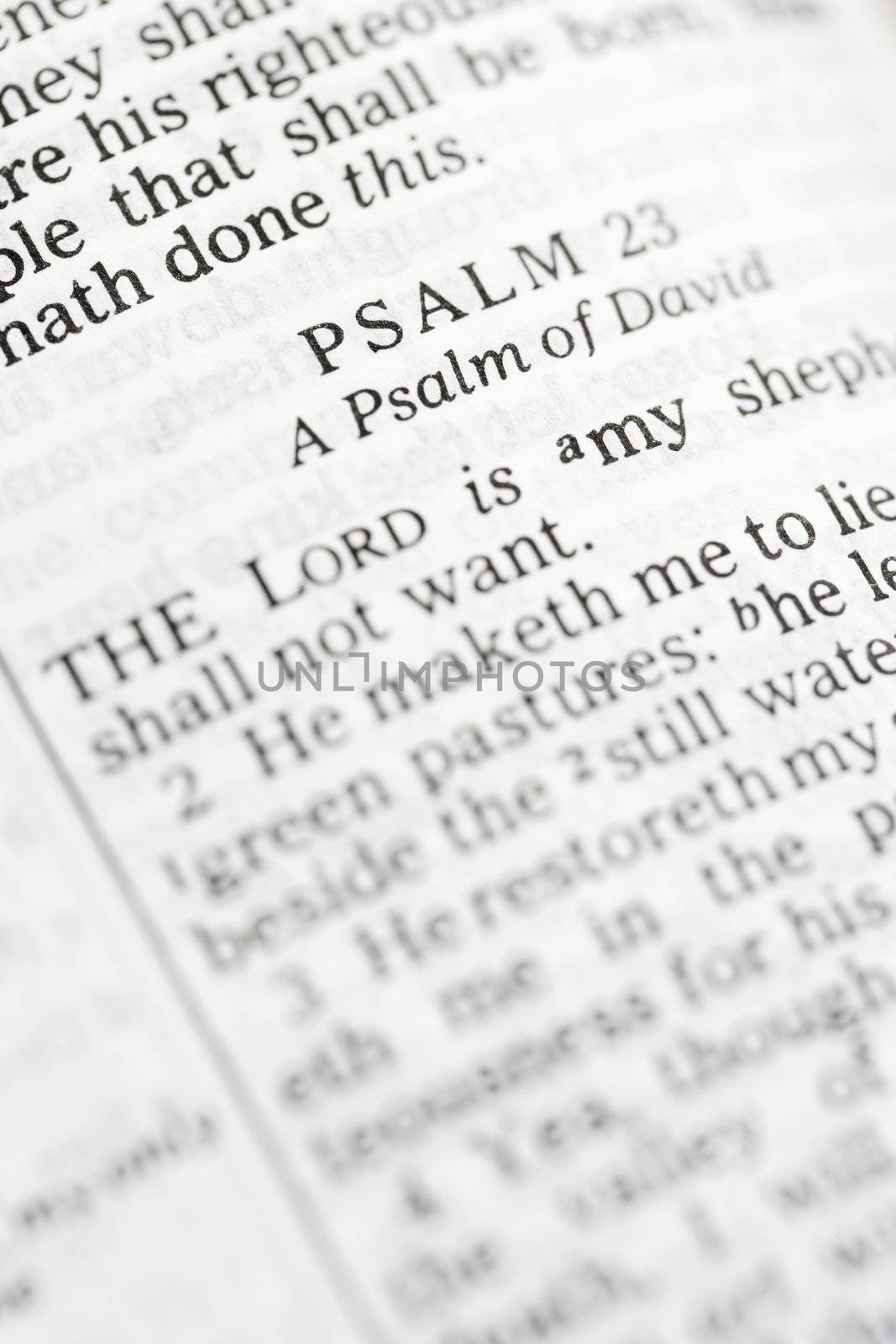 Selective focus of Psalm verses in open Holy Bible.