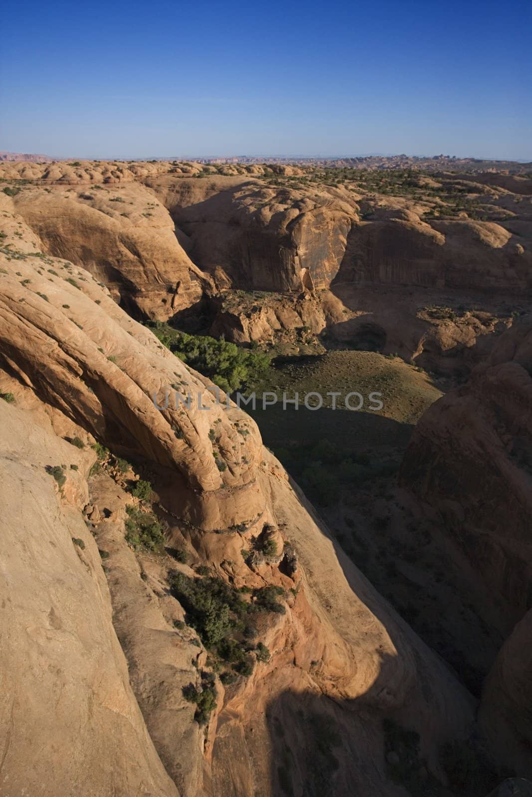 Aerial of desert canyon landscape in Utah, USA.