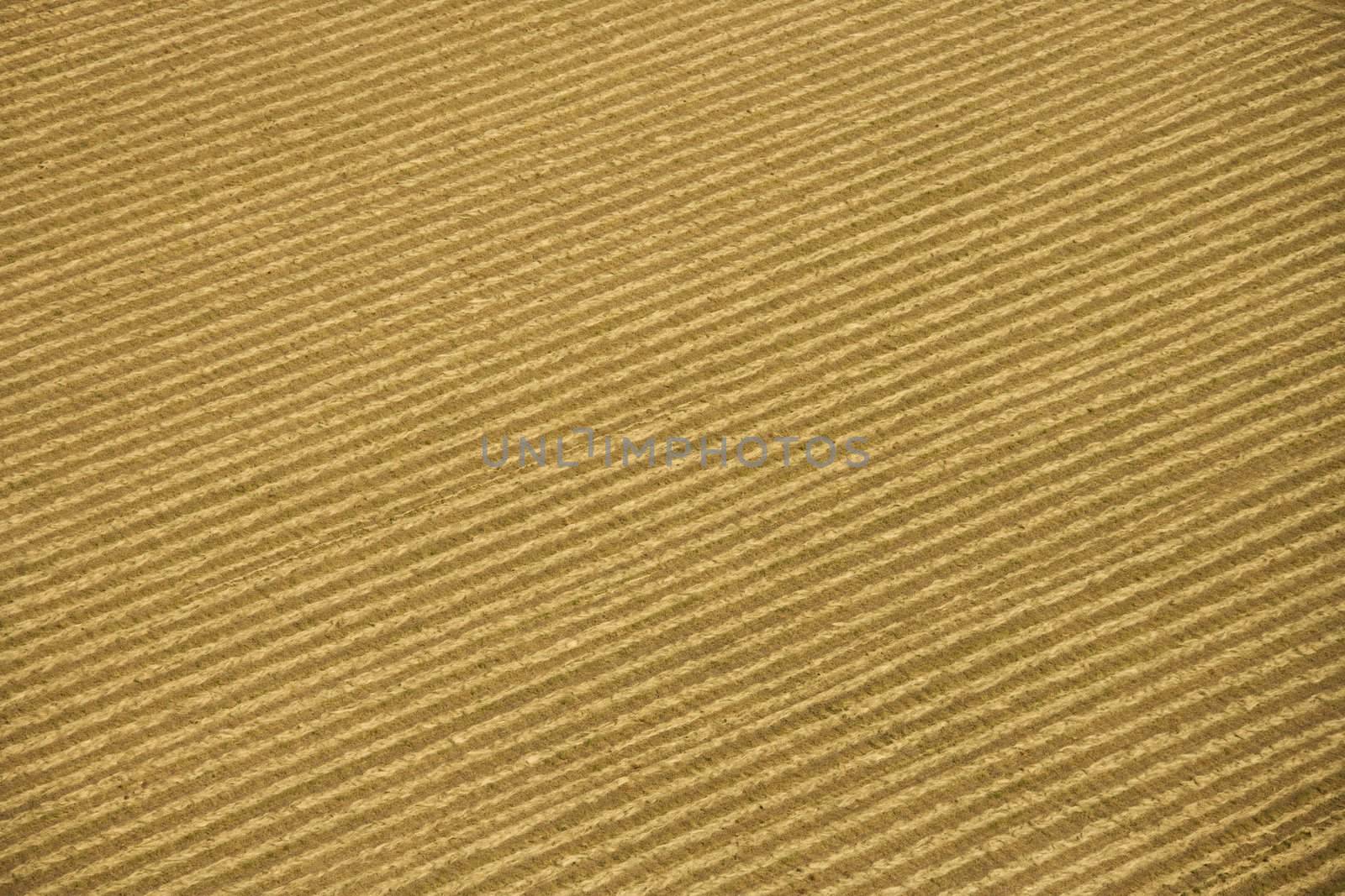 Aerial of rows in agricultural cropland.