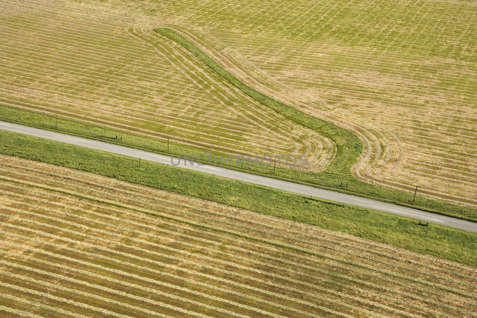 Aerial of rows in agricultural cropland.