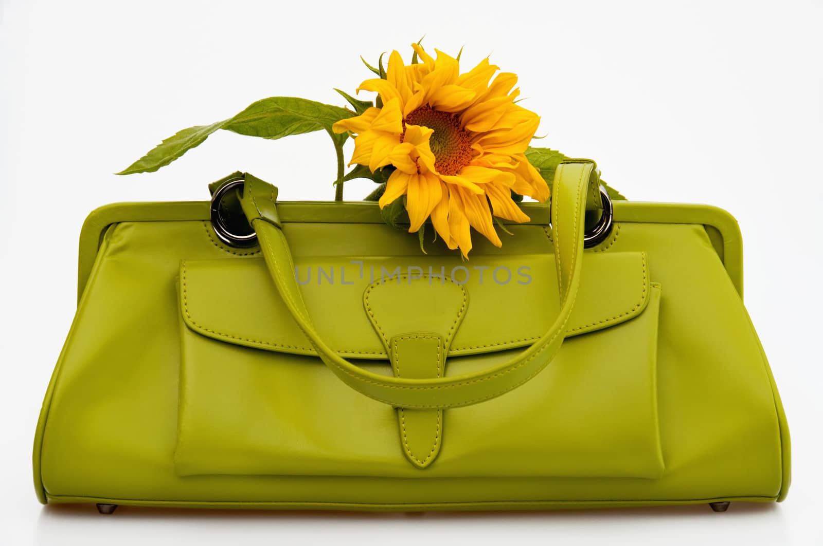 Green handbag by GryT