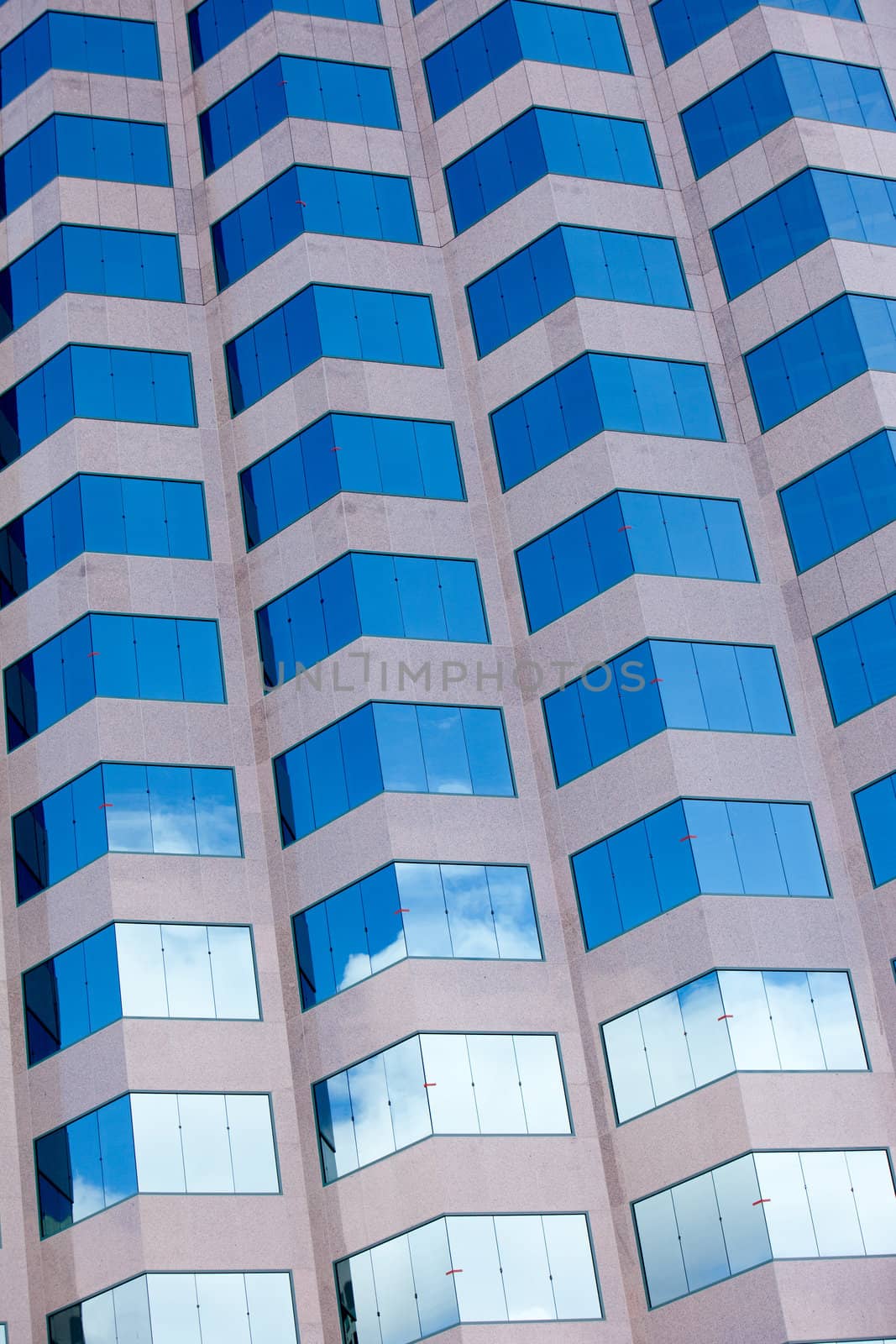 A grid of windows from an office building