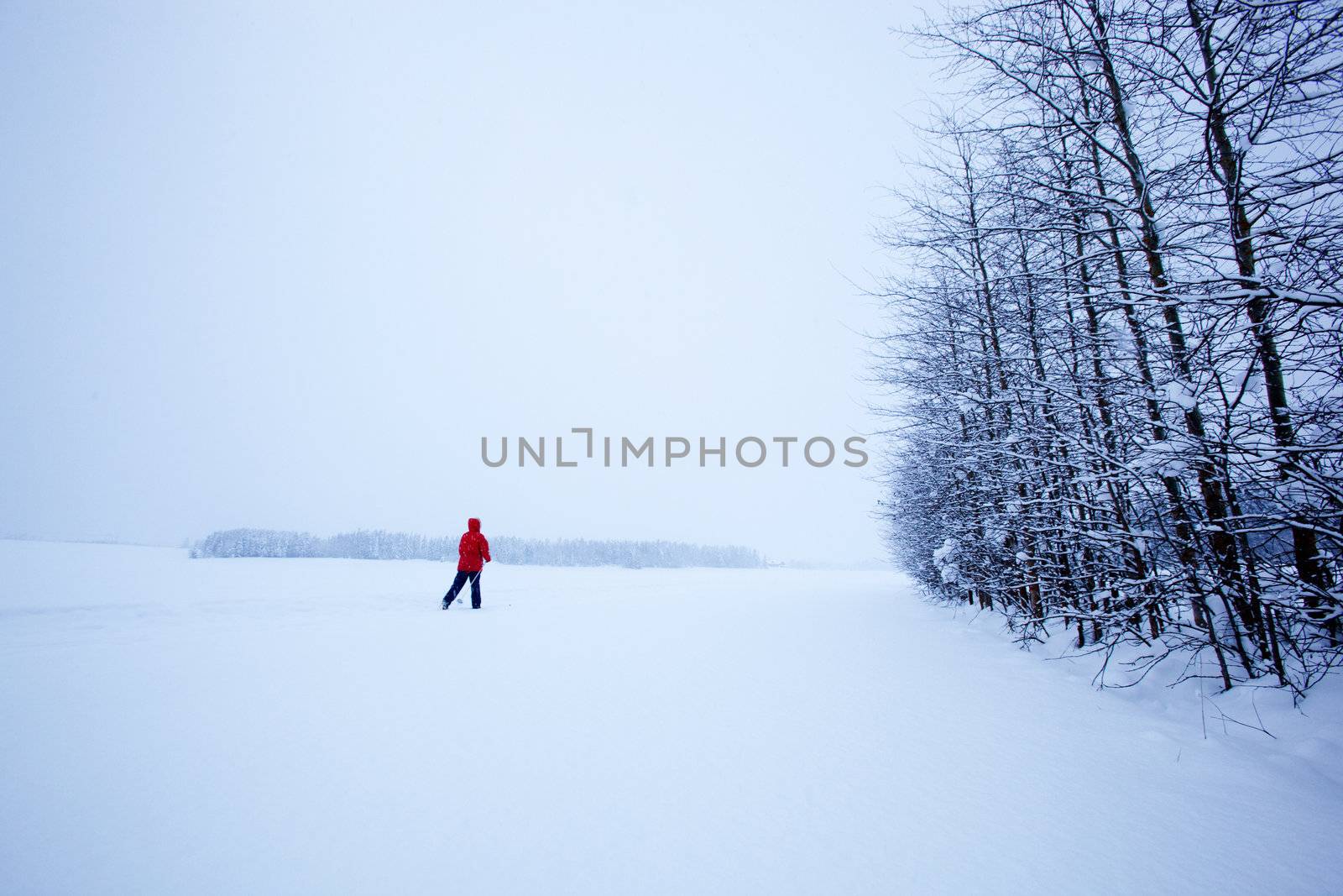 A single cross country skier in winter