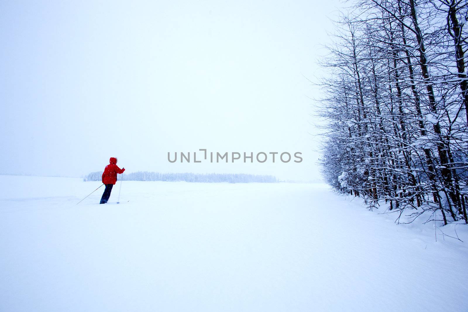 A single cross country skier in winter