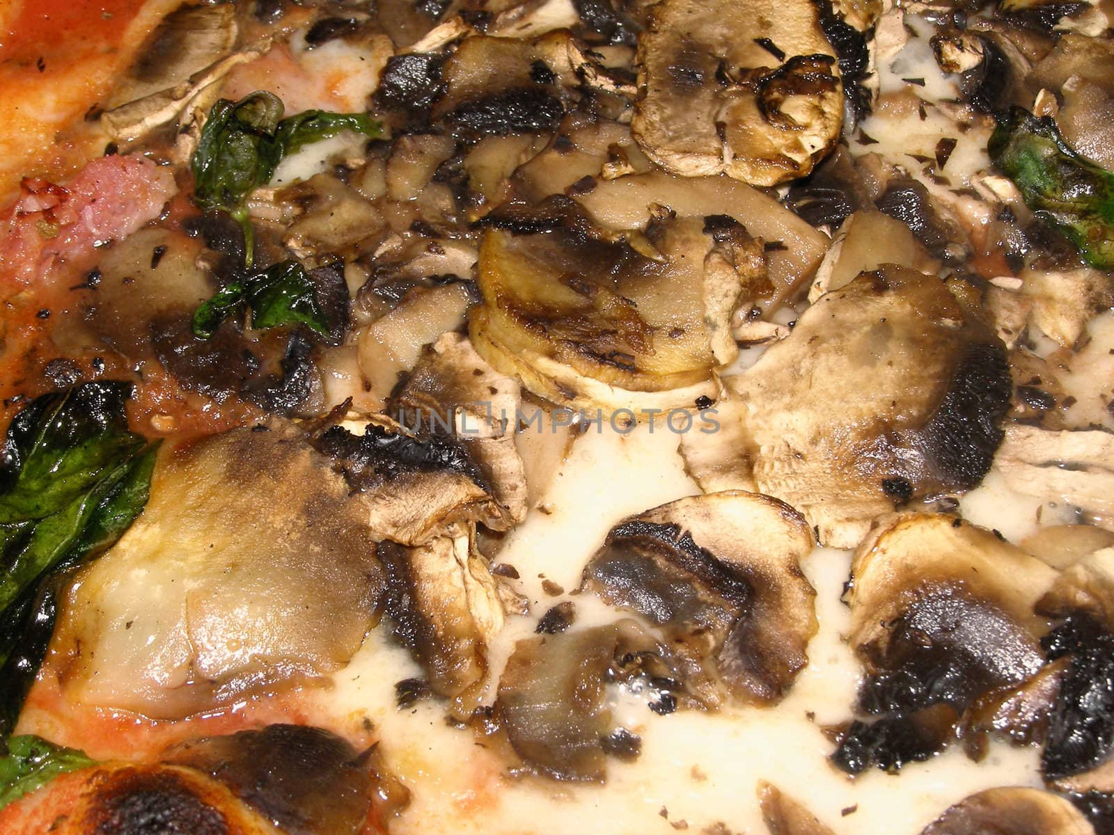 Italian mushroom pizza