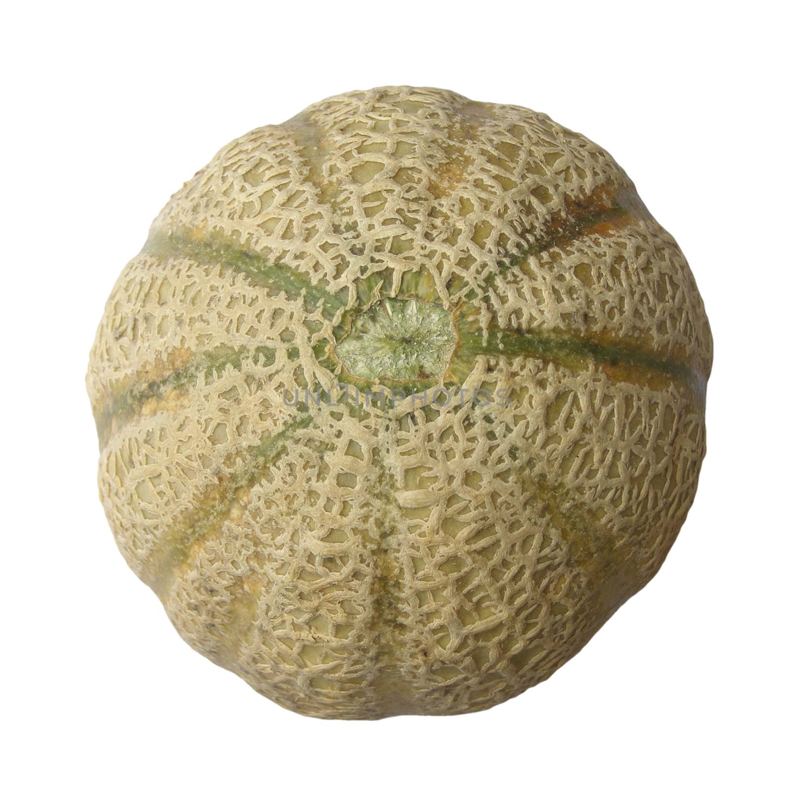 Melon fruit