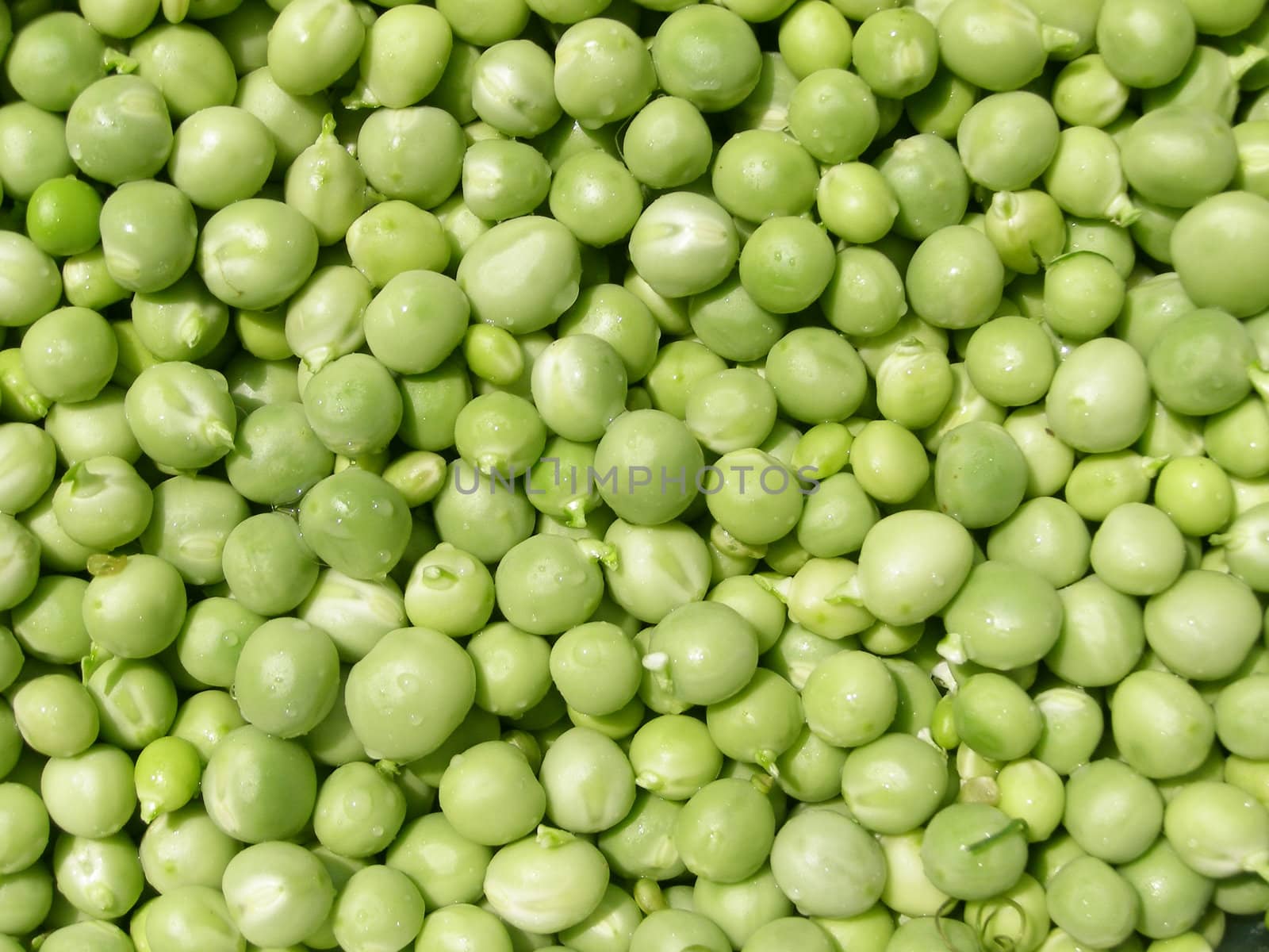 Peas by claudiodivizia