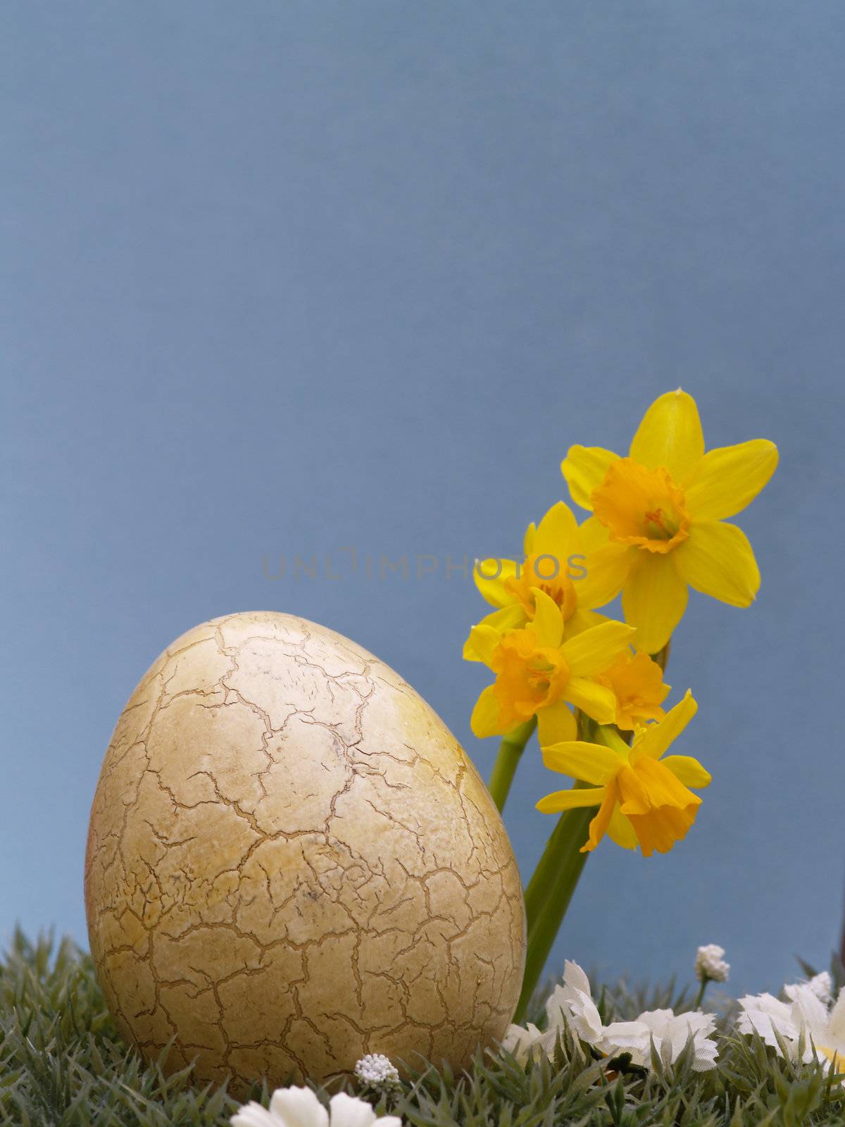 easter egg with drarf daffodils on artificial grass and blossoms, light blue background