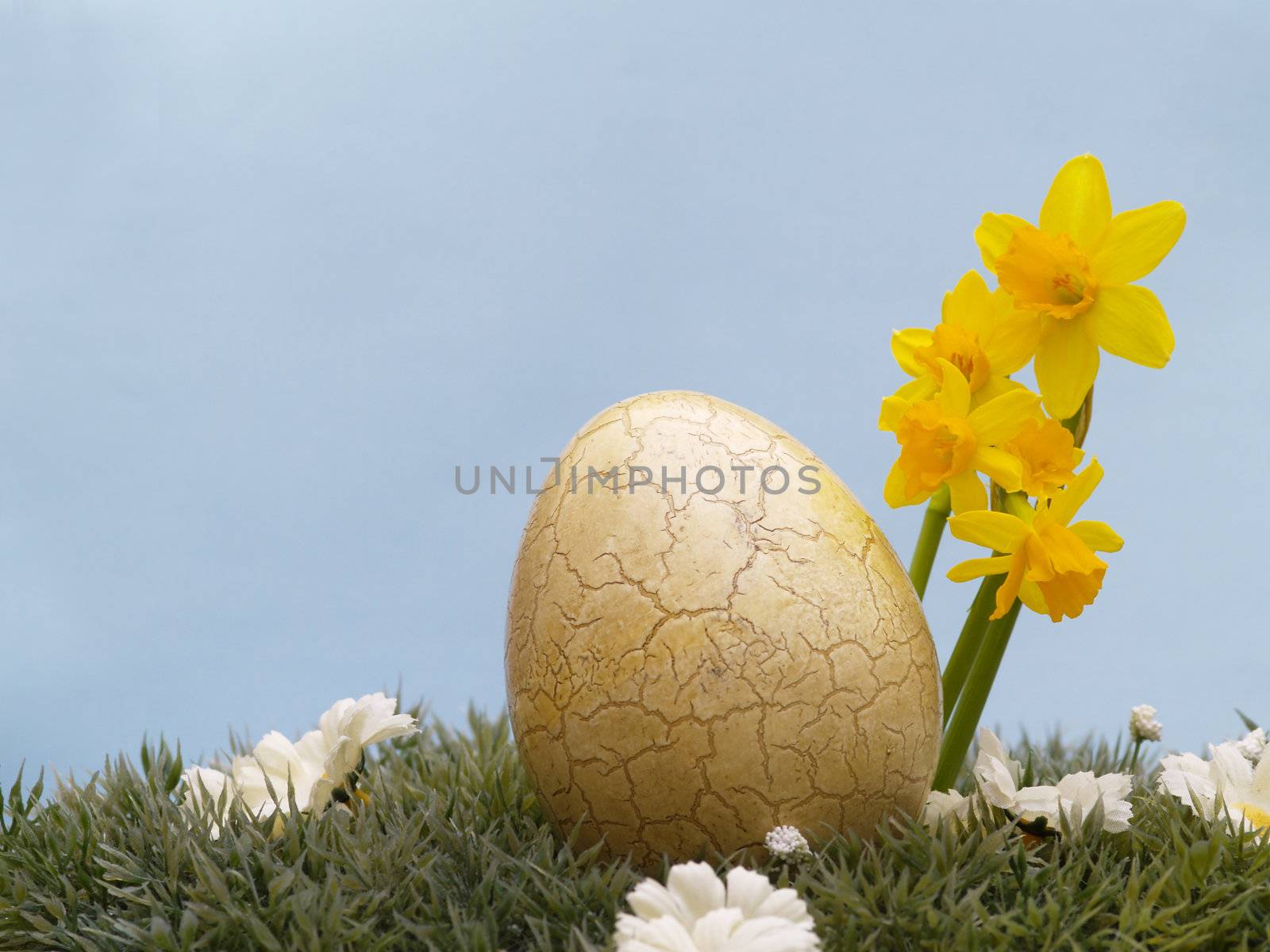 easter egg with drarf daffodils on artificial grass and blossoms, light blue background