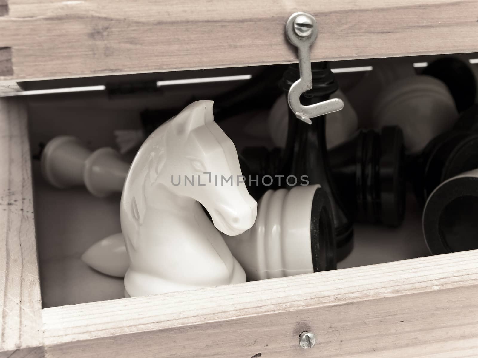 white knigh in the wooden chess home 