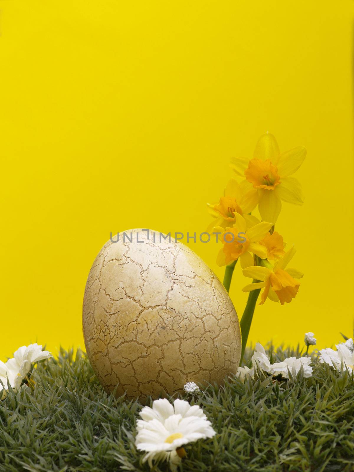 easter egg with drarf daffodils on artificial grass and blossoms, yellow background