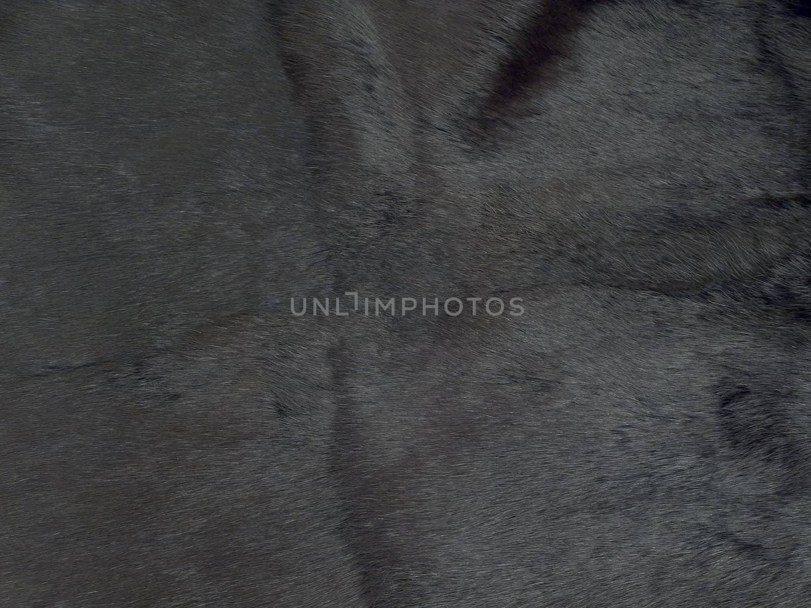 photo of the black fur background