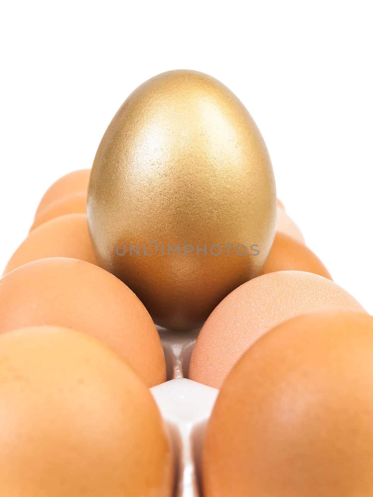 golden egg at the some usual eggs against the white background